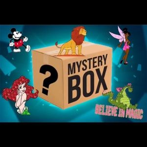 Disney mystery box